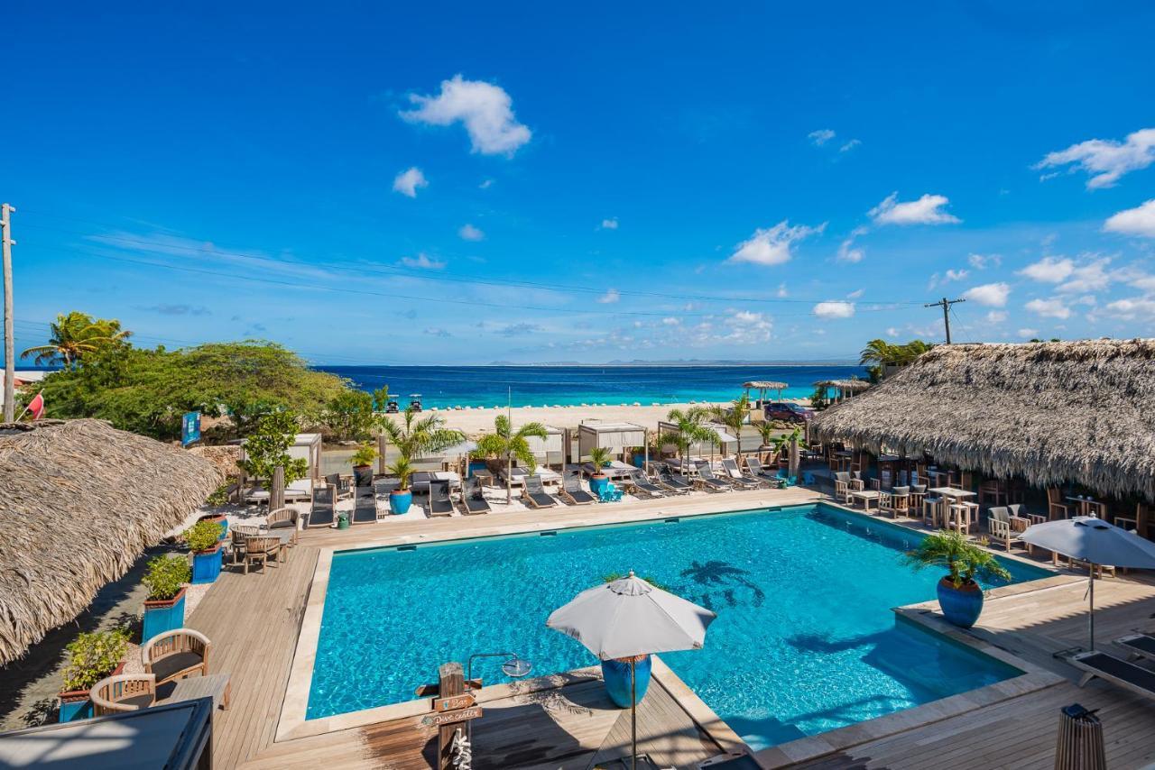 Bloozz Resort Bonaire Playa Eksteriør bilde